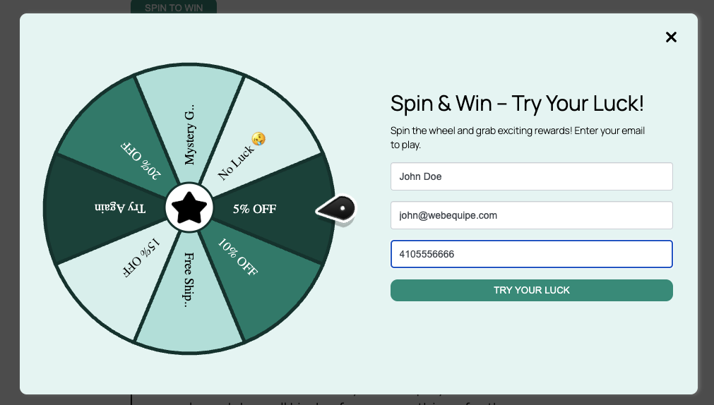 WebEquipe Spin & Win Wheel Screenshot 5